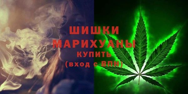 ешки Гусь-Хрустальный