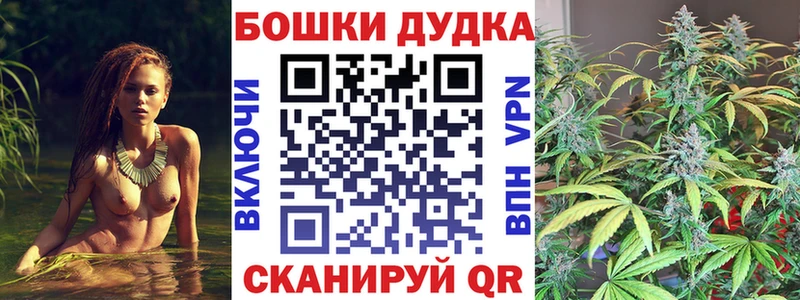 где купить наркотик  Тейково  дарк нет формула  Бошки марихуана OG Kush  мега зеркало 